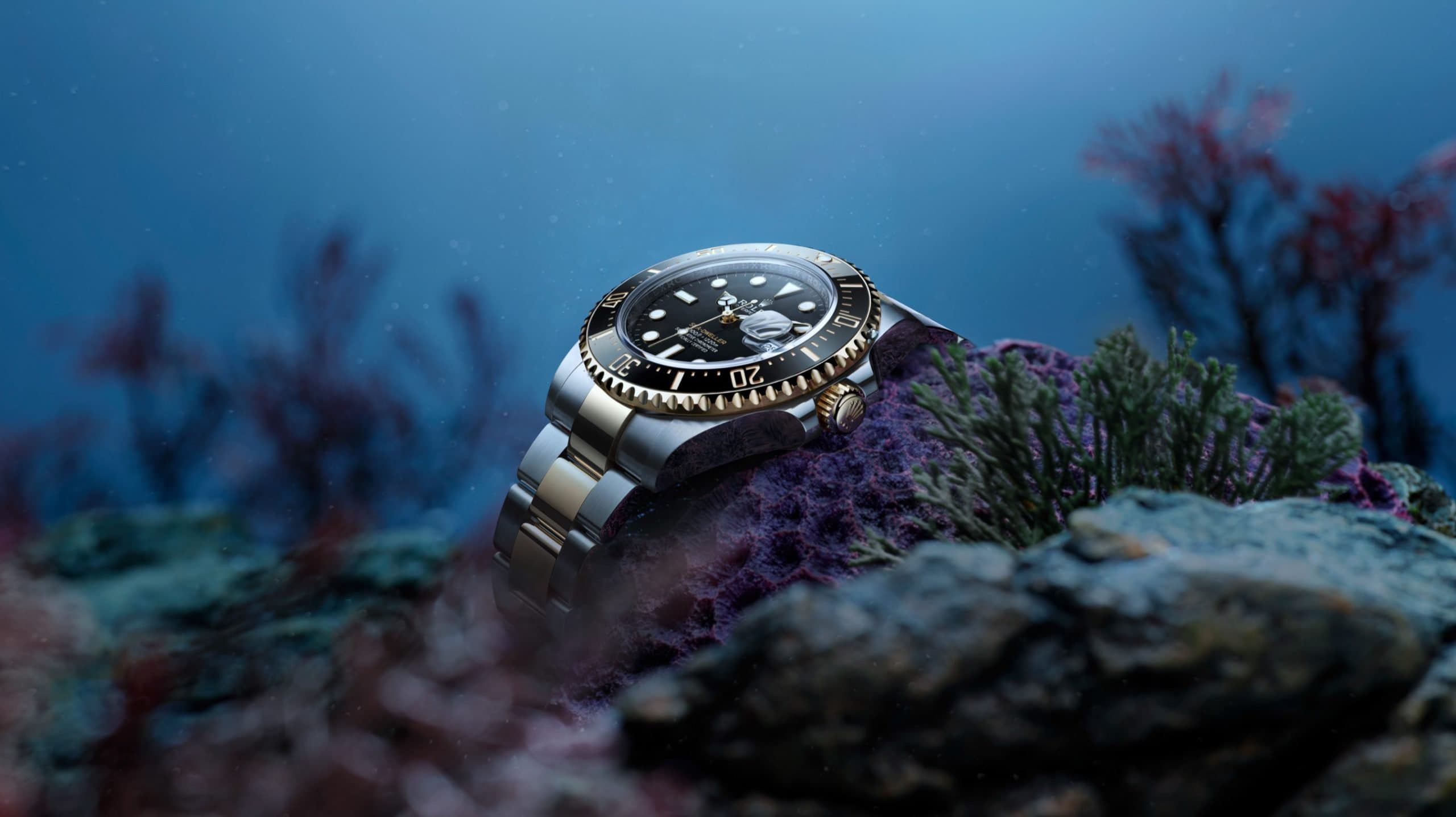 Rolex Sea-Dweller M126603-0001 - Hung Cheong