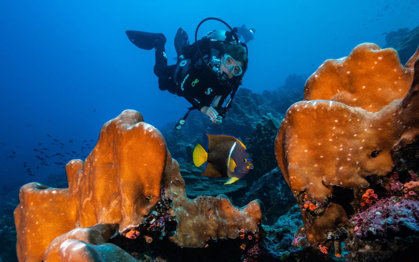 Diving with Rolex Sea-Dweller - Hung Cheong