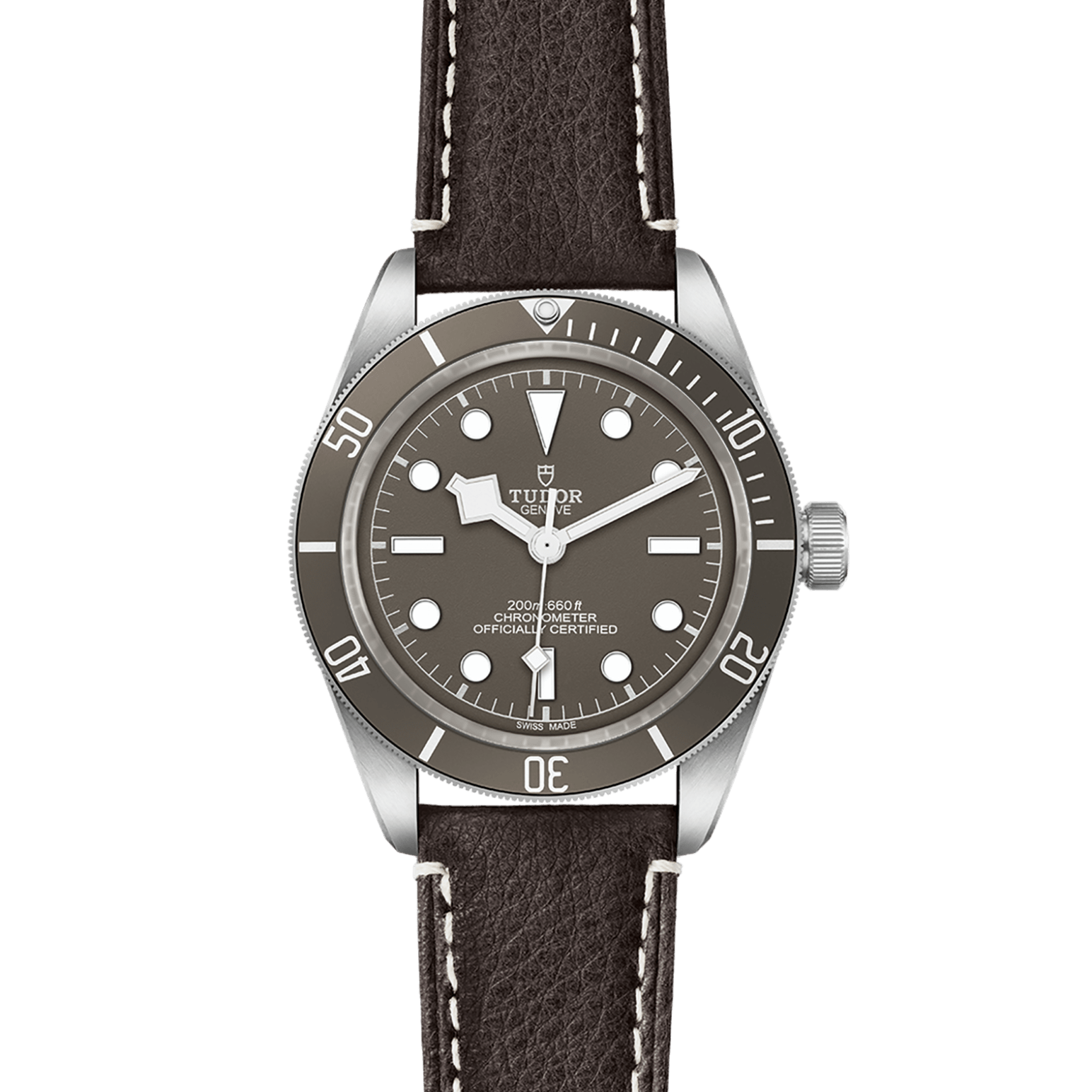 TUDOR Black Bay 58 925 M79010SG-0001