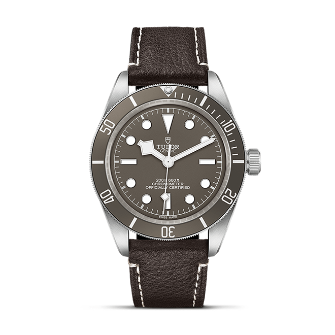 TUDOR Black Bay 58 925 M79010SG-0001