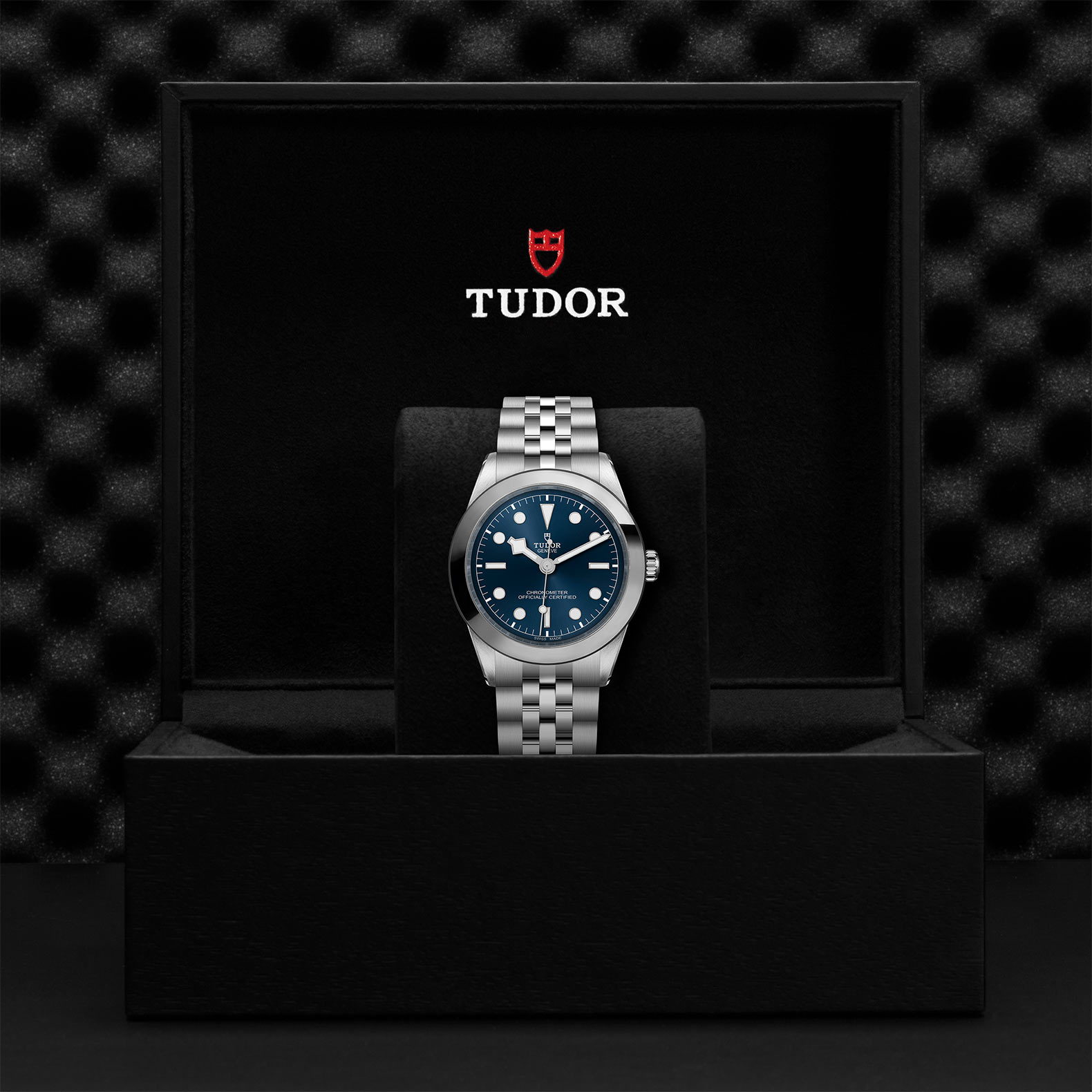 TUDOR Black Bay 39 M79660-0002 - Image 10