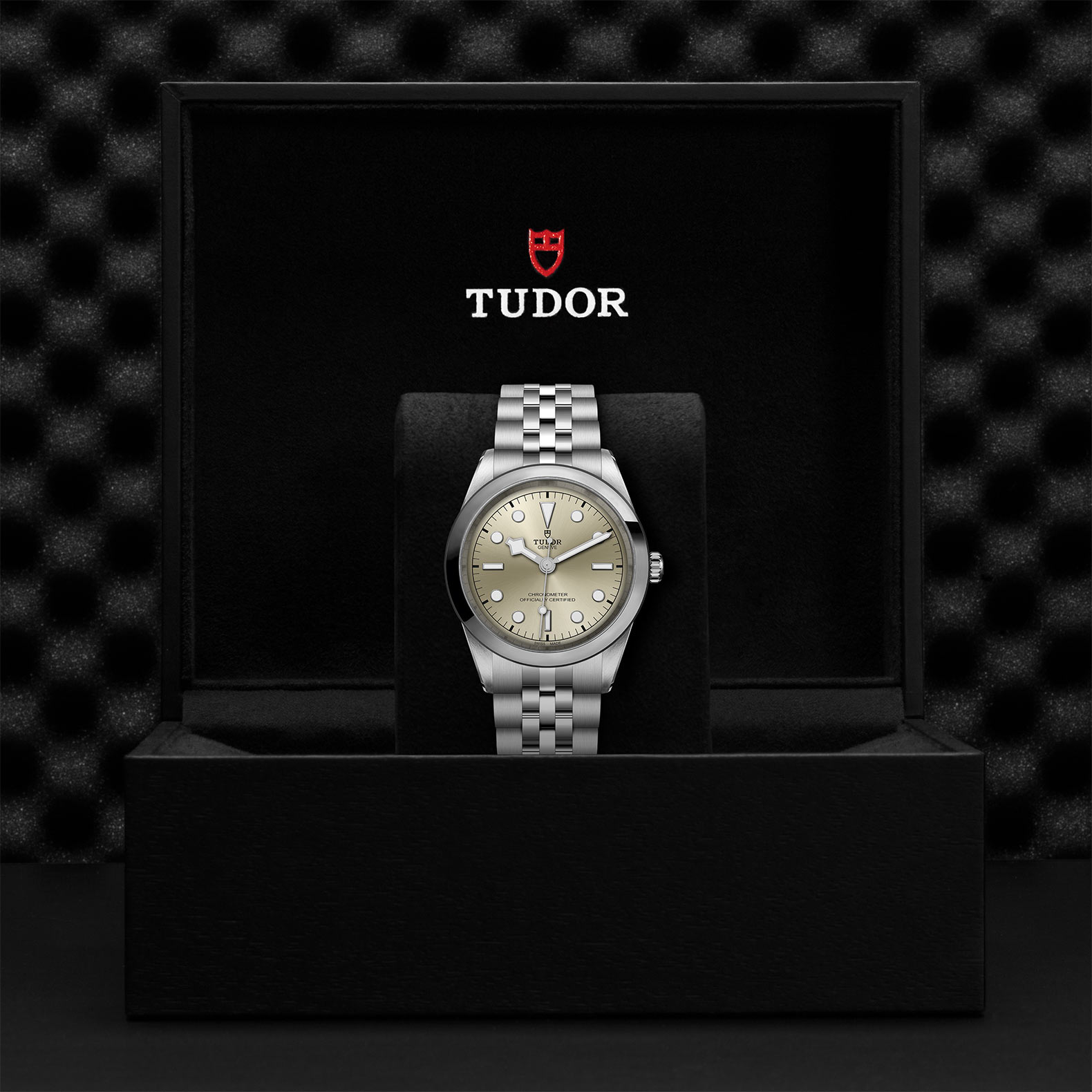 TUDOR Black Bay 41 M79680-0003 - Image 10
