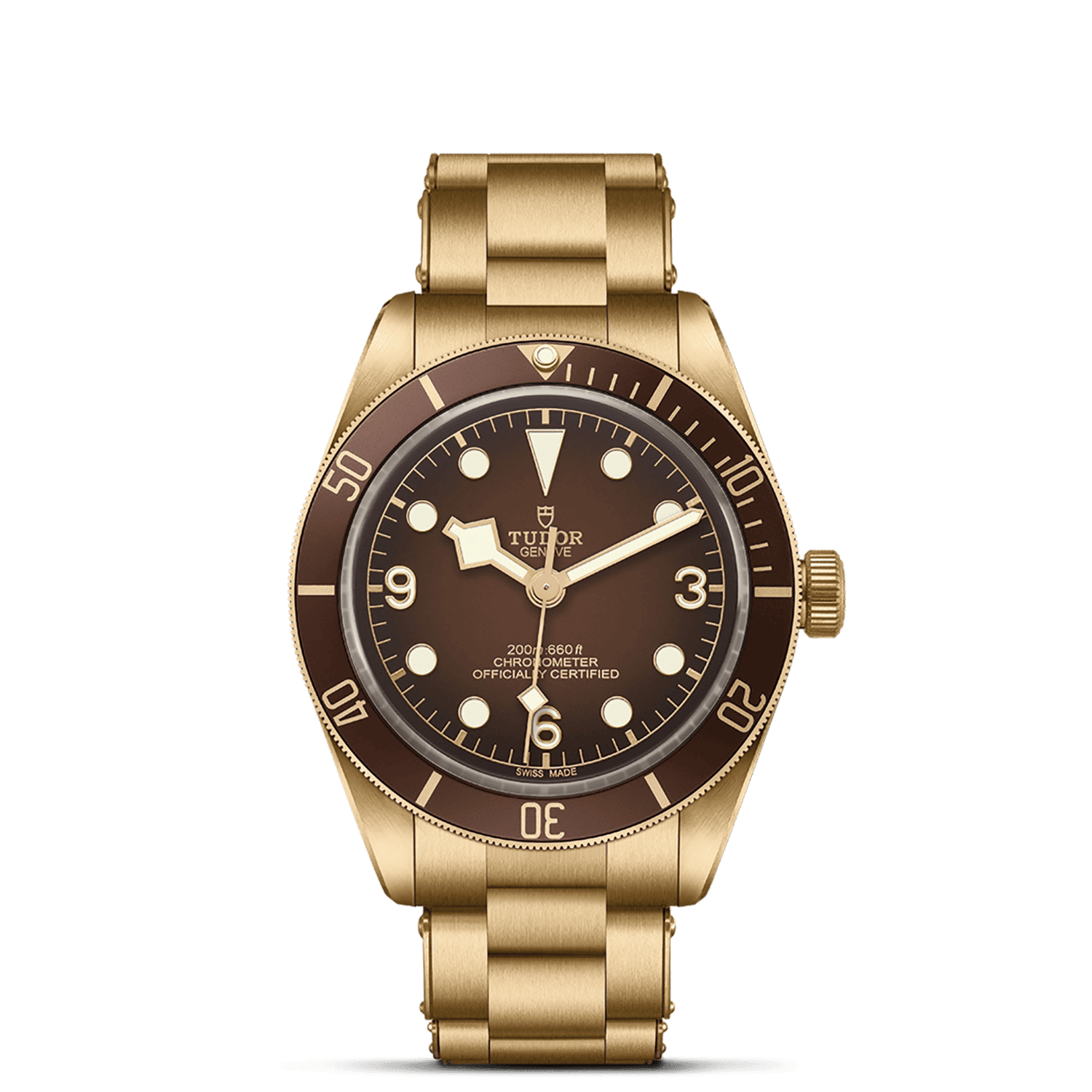 Tudor Black Bay 58 Bronze "Boutique Edition" M79012M-0001