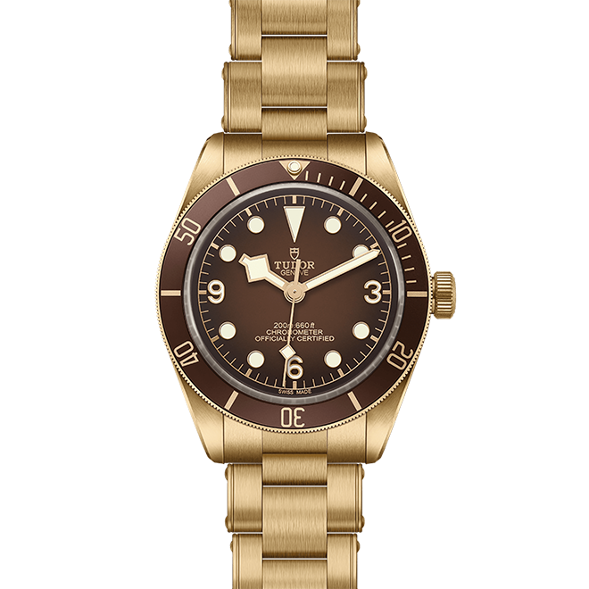 Tudor Black Bay 58 Bronze "Boutique Edition" M79012M-0001
