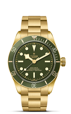 Tudor Black Bay 58 18K M79018V-0006 - Hung Cheong Jewellery & Watch