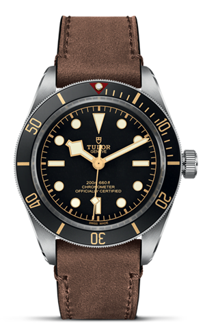 TUDOR Black Bay 58 M79030N-0002