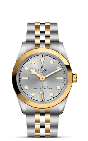 Tudor Black Bay 31 S&G M79603-0002 - Hung Cheong Jewellery & Watch