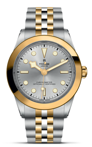 Tudor Black Bay 39 S&G M79663-0002 - Hung Cheong Jewellery & Watch