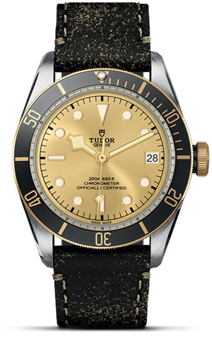 Tudor Black Bay S&G M79733N-0003 - Hung Cheong Jewellery & Watch