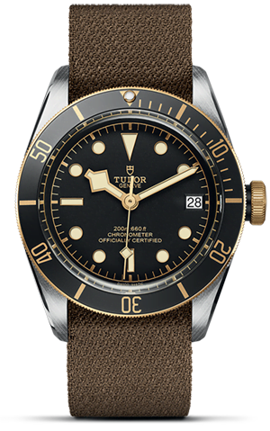 Tudor Black Bay S&G M79733N-0005 - Hung Cheong Jewellery & Watch