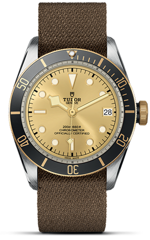 Tudor Black Bay S&G M79733N-0006 - Hung Cheong Jewellery & Watch