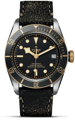Tudor Black Bay S&G M79733N-0007 - Hung Cheong Jewellery & Watch