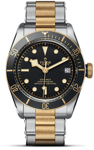 Tudor Black Bay S&G M79733N-0008 - Hung Cheong Jewellery & Watch