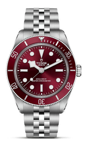 Tudor Black Bay 58 M7939A1A0RU-0001